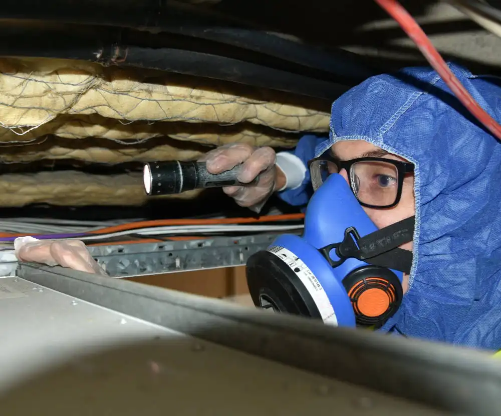 Professional conducting an asbestos survey in a building